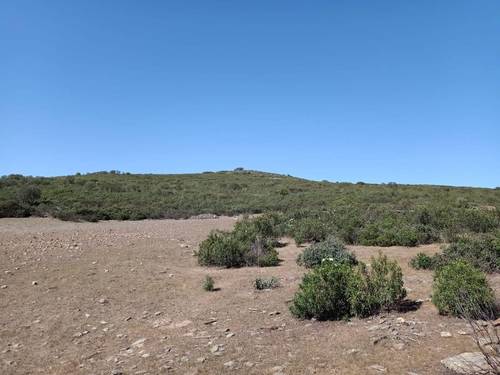 imagen 24 de Finca Chuscarra Coto de caza