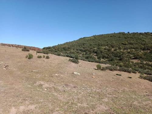 imagen 22 de Finca Chuscarra Coto de caza