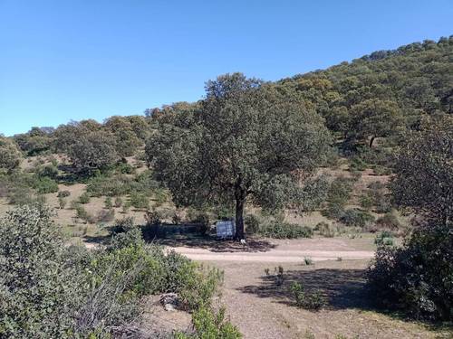 imagen 26 de Finca Chuscarra Coto de caza
