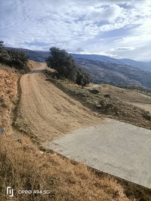 imagen 4 de La chaparra