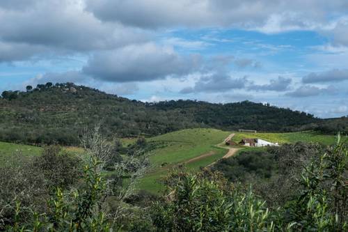 imagen 11 de Finca de 50 hectáreas con 20.000 alcornoques en Rosal de la Frontera (Huelva)