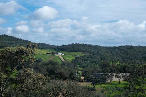 imagen 15 de Finca de 50 hectáreas con 20.000 alcornoques en Rosal de la Frontera (Huelva)