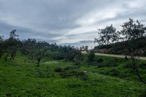 imagen 17 de Finca de 50 hectáreas con 20.000 alcornoques en Rosal de la Frontera (Huelva)