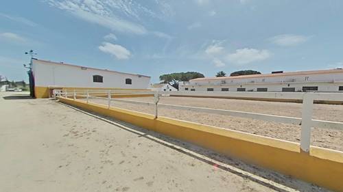 imagen 26 de SE VENDE - YEGUADA EL CHAPARAL