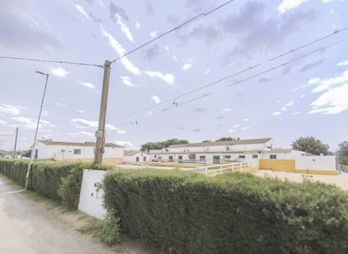 imagen 28 de SE VENDE - YEGUADA EL CHAPARAL