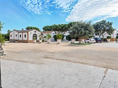 imagen 1 de SE VENDE - YEGUADA EL CHAPARAL