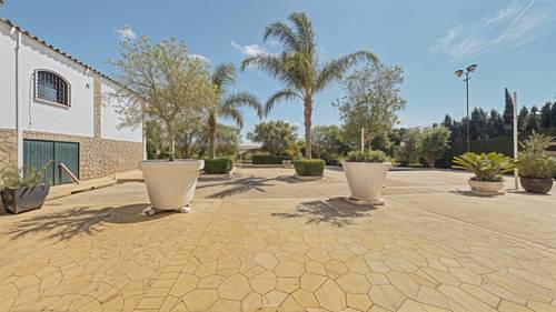 imagen 13 de SE VENDE - YEGUADA EL CHAPARAL