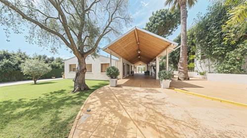 imagen 12 de SE VENDE - YEGUADA EL CHAPARAL