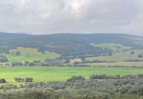 imagen 1 de Finca de caza y recreo