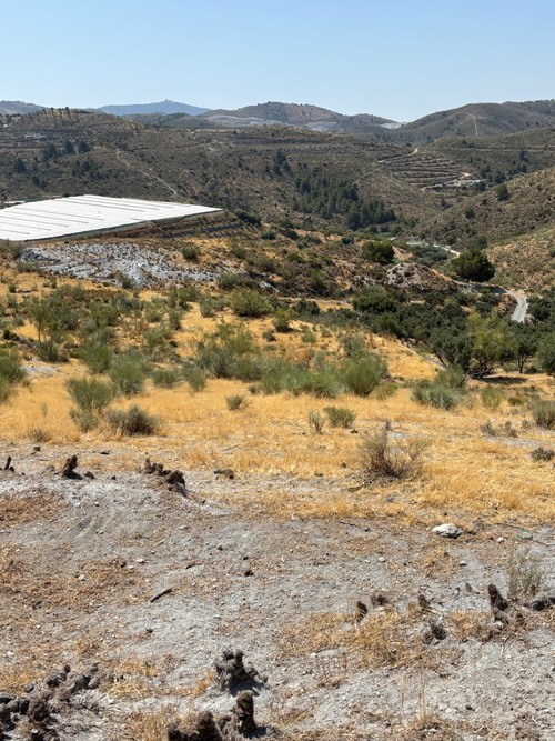 imagen 1 de FINCA DE REGADÍO -LA GORGORACHA-