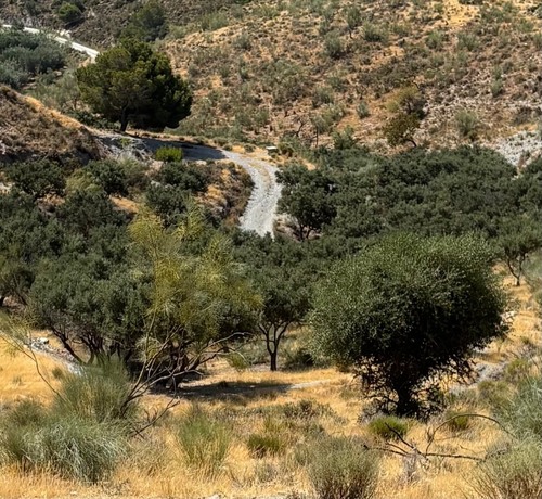 imagen 1 de FINCA DE REGADÍO -LA GORGORACHA-