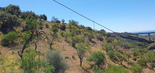 imagen 4 de FINCA EN MÁLAGA COSTA ESTE