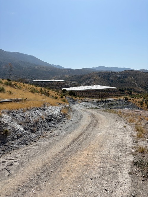 imagen 4 de FINCA DE REGADÍO -LA GORGORACHA-