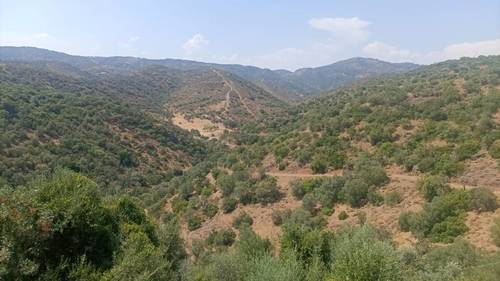 imagen 15 de FINCA/CORTIJO/HACIENDA CINEGÉTICA CAZA MENOR, GANADERA, AGRÍCOLA, RECREO SEÑORIAL DE LUJO EN CÓRDOBA CON ALTO VALOR PAISAJÍSTICO Y AMBIENTAL