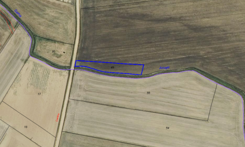 imagen 7 de En venta 29,7 ha agricola secano. Tierra de Campos