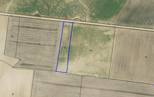 imagen 2 de En venta 29,7 ha agricola secano. Tierra de Campos
