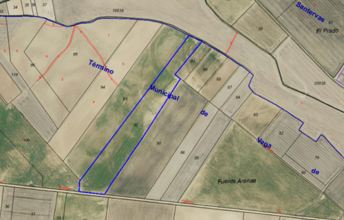 imagen 5 de En venta 29,7 ha agricola secano. Tierra de Campos