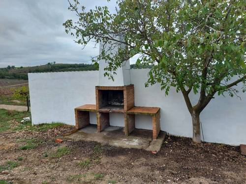 imagen 6 de FINCA RUSTICA