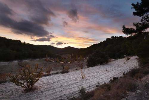 imagen 13 de FINCA PENICHET