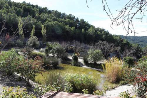 imagen 3 de FINCA PENICHET