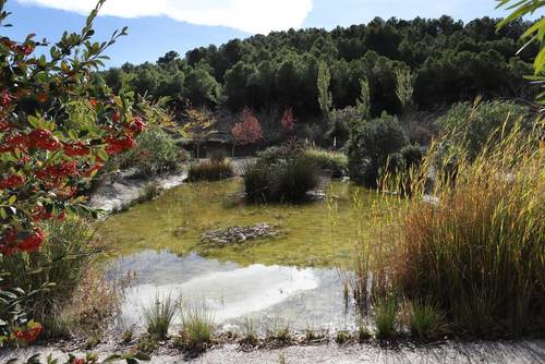 imagen 4 de FINCA PENICHET