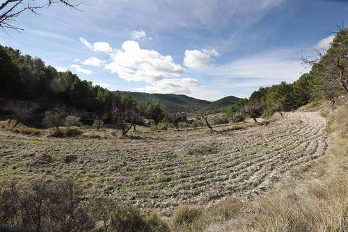 imagen 5 de FINCA PENICHET