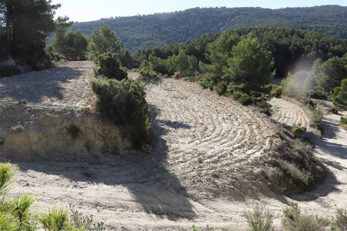 imagen 15 de FINCA PENICHET