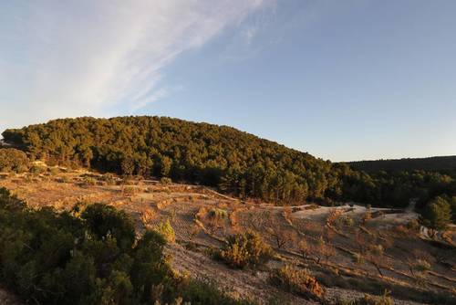 imagen 20 de FINCA PENICHET