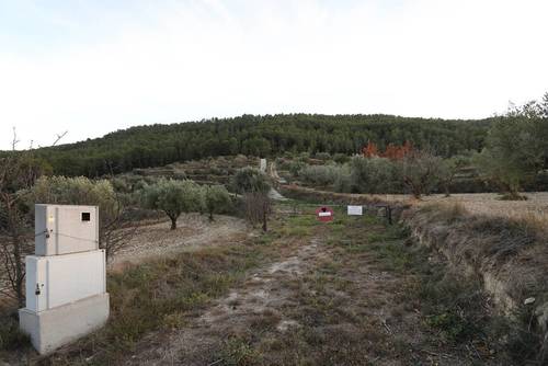 imagen 22 de FINCA PENICHET