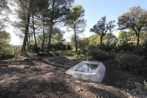 imagen 16 de FINCA PENICHET