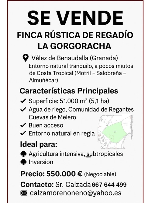 imagen 3 de FINCA REGADÍO -LA GORGORACHA-