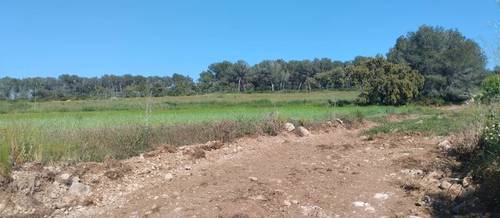 imagen 4 de Finca agrícola en alquiler