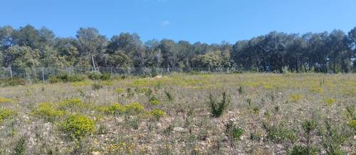 imagen 5 de Finca agrícola en alquiler