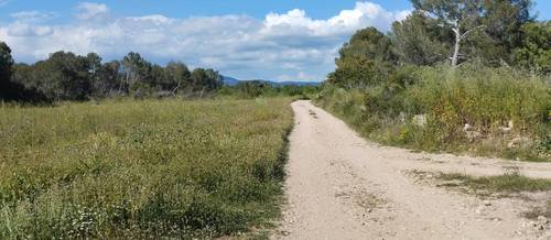 imagen 8 de Finca agrícola en alquiler