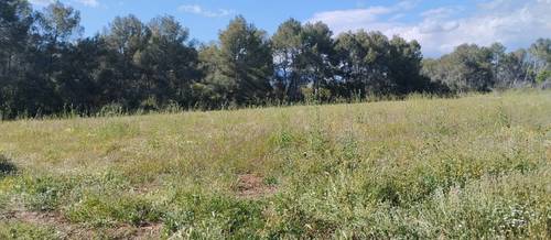 imagen 9 de Finca agrícola en alquiler