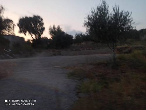 imagen 15 de Lote de 3 Fincas El Jaral