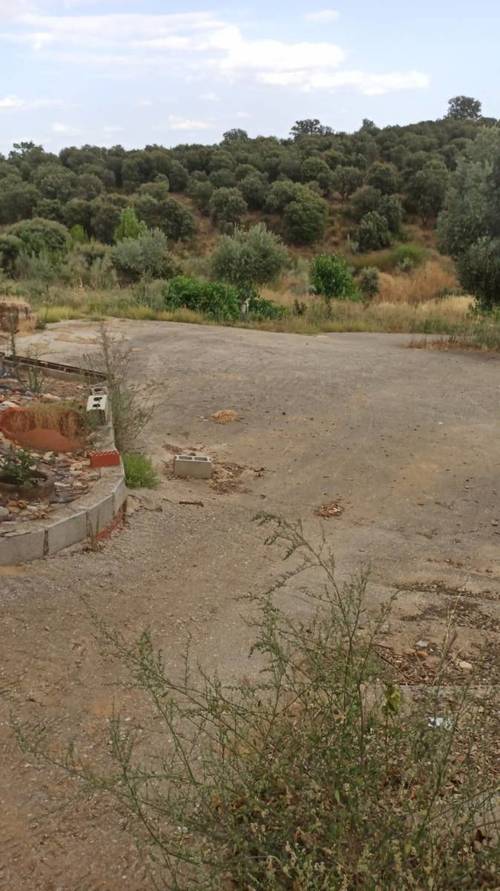 imagen 6 de Lote de 3 Fincas El Jaral