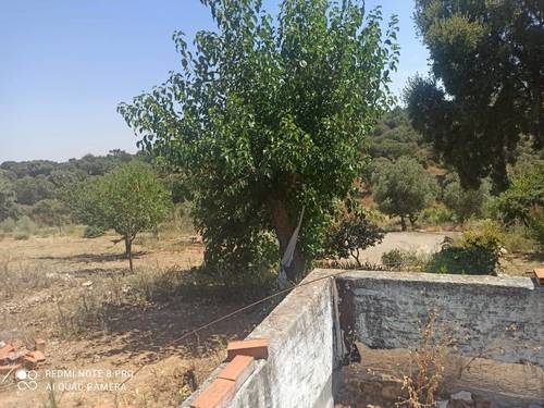 imagen 4 de Lote de 3 Fincas El Jaral