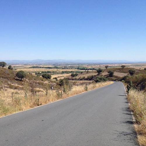 imagen 1 de Finca de Regadio de 85.000 m2
