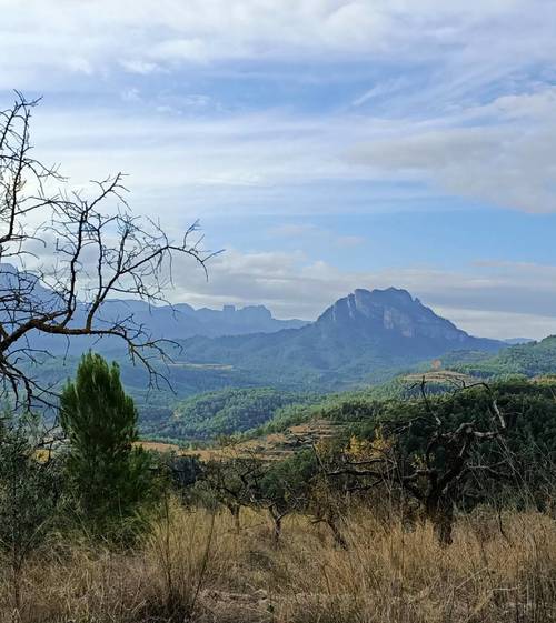 imagen 1 de Finca de San José