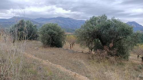 imagen 6 de Finca de San José
