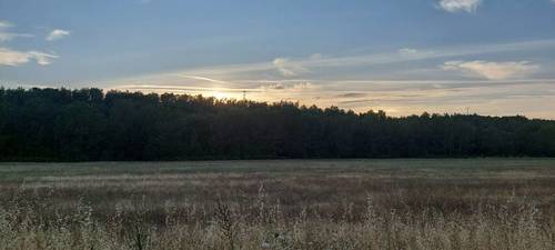 imagen 4 de Finca rústica de 68 hectáreas