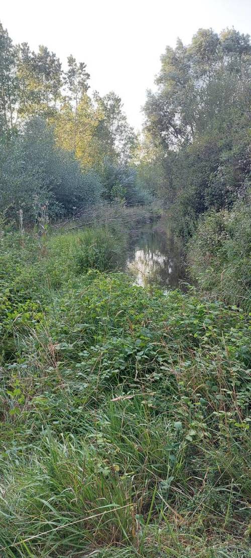 imagen 3 de Finca rústica de 68 hectáreas