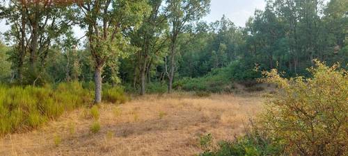 imagen 7 de Finca rústica de 68 hectáreas