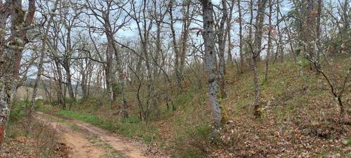 imagen 5 de Finca rústica de 68 hectáreas