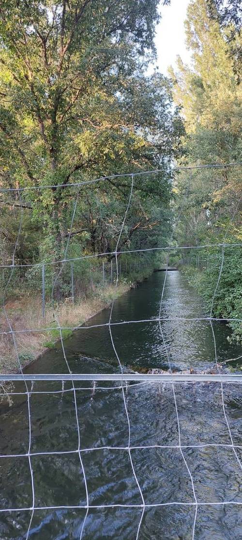 imagen 6 de Finca rústica de 68 hectáreas