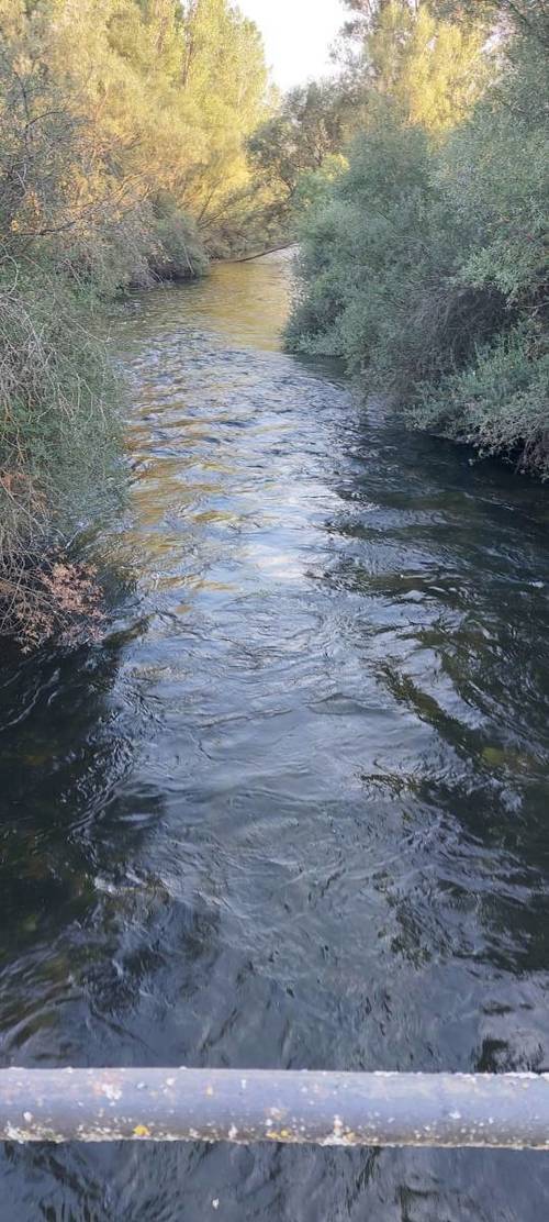 imagen 2 de Finca rústica de 68 hectáreas