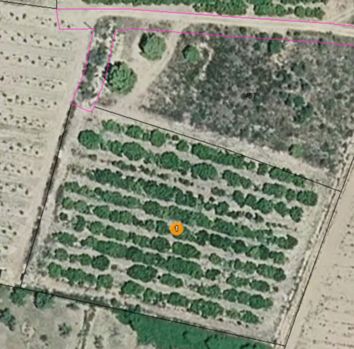 imagen 6 de Finca rústica Cabanes