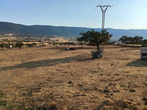 imagen 1 de FINCA RÚSTICA EN LA ZONA DE ALCÁNTARA