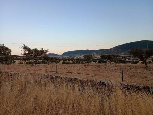 imagen 1 de FINCA RÚSTICA EN LA ZONA DE ALCÁNTARA